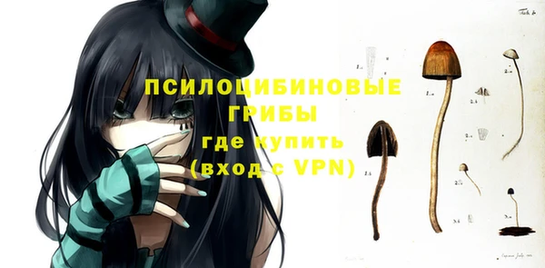 экстази Елизово