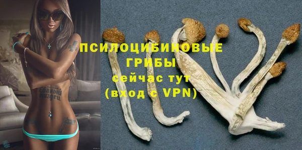 гидра Ельня
