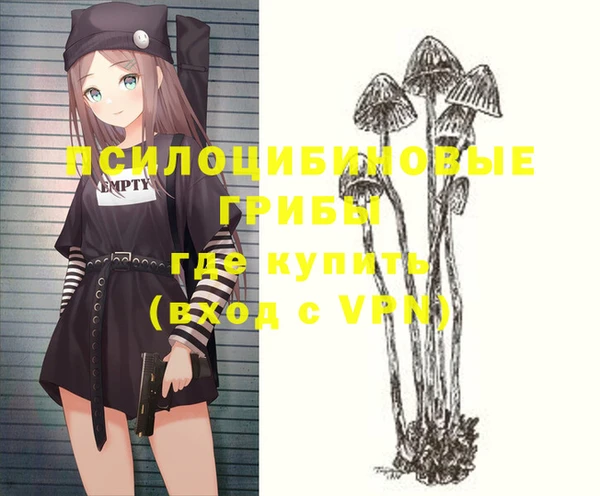 дурь Армянск